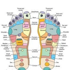 Acupressure/MassageJimmy and Massage Rollers (Set of Four) - Portable, Wooden, For massage, acupressure therapy and stress relief, Sujok