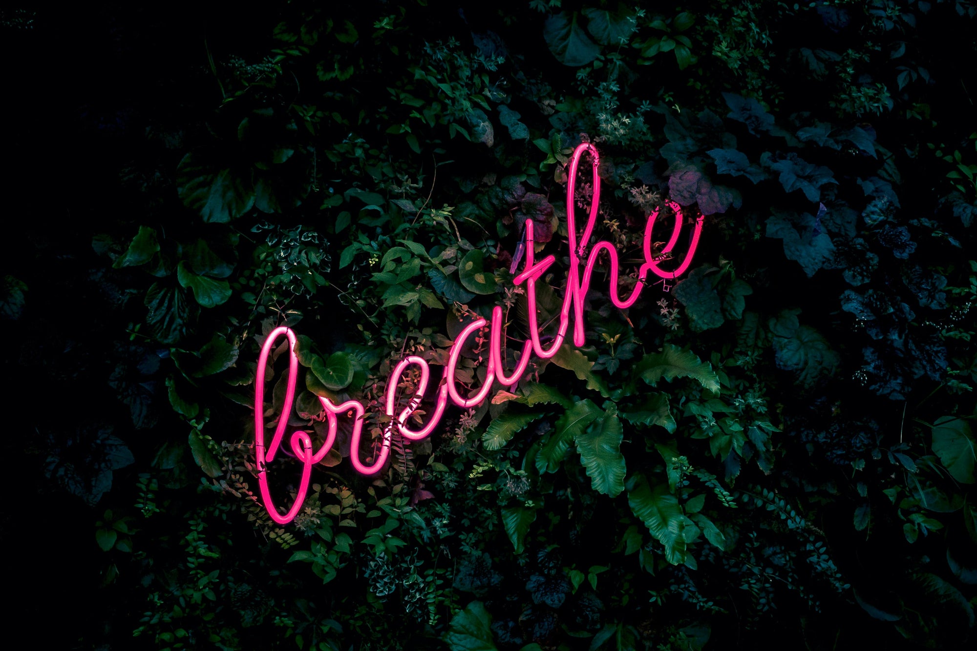 yoga breathe
