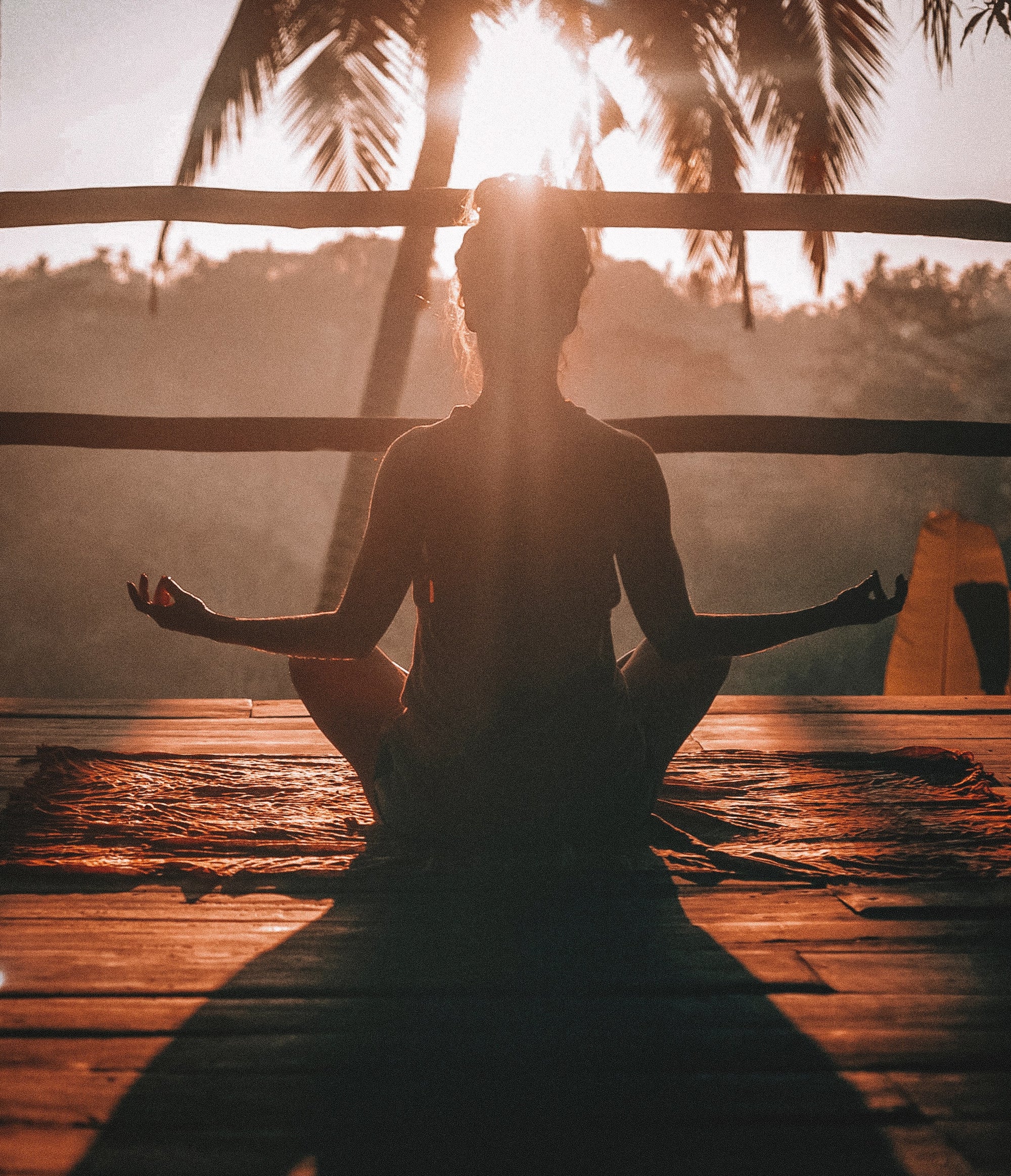  international yoga day 